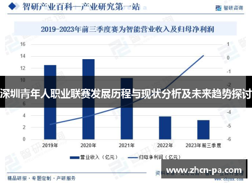 深圳青年人职业联赛发展历程与现状分析及未来趋势探讨