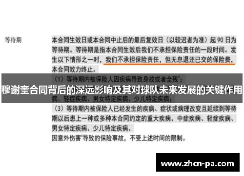 穆谢奎合同背后的深远影响及其对球队未来发展的关键作用