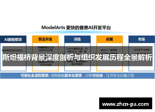 斯坦福桥背景深度剖析与组织发展历程全景解析