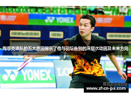 陶菲克退队的五大原因揭示了他与羽坛告别的深层次动因及未来方向
