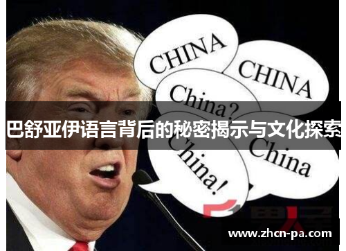 巴舒亚伊语言背后的秘密揭示与文化探索