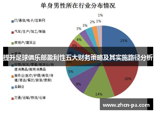 提升足球俱乐部盈利性五大财务策略及其实施路径分析 提升足球俱乐部盈利性五大财务策略及其实施路径分析
