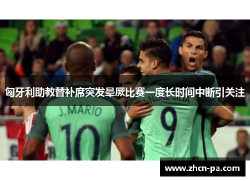 匈牙利助教替补席突发晕厥比赛一度长时间中断引关注 匈牙利助教替补席突发晕厥比赛一度长时间中断引关注